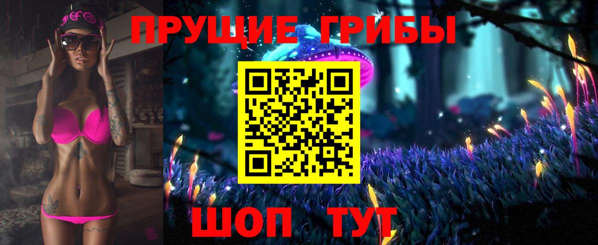 как найти закладки  Вход с VPN  Псилоцибиновые грибы мицелий  Киселёвск  Псилоцибиновые грибы ЛСД 